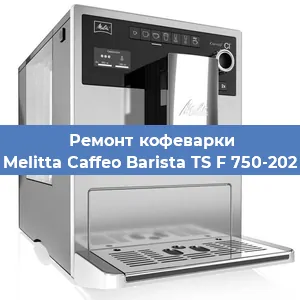 Замена прокладок на кофемашине Melitta Caffeo Barista TS F 750-202 в Ижевске